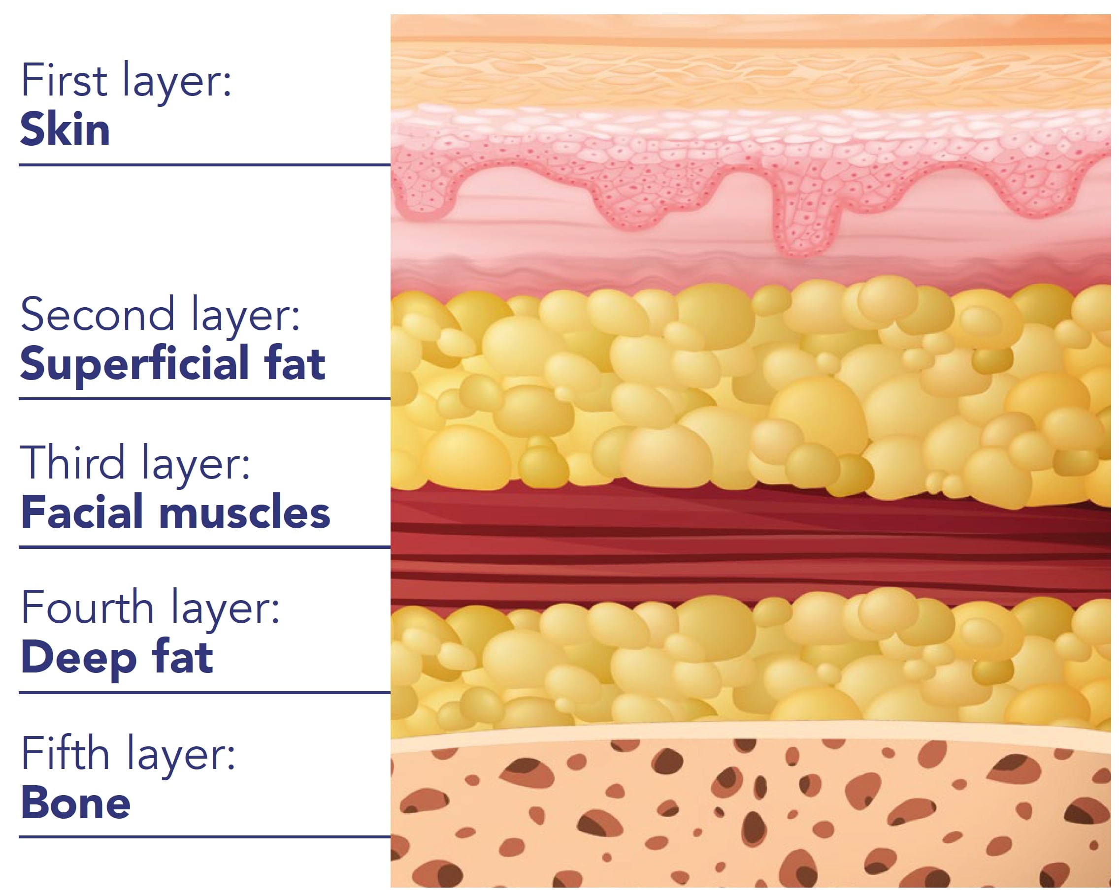 AGEING ISN'T JUST ABOUT THE SKIN
